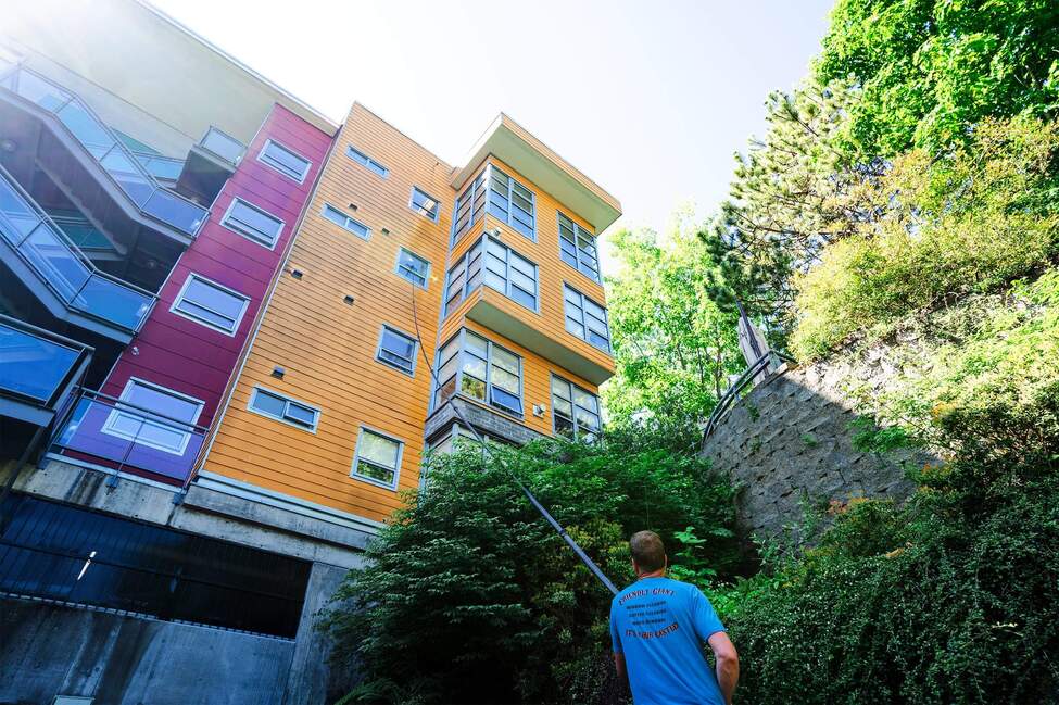 Friendly Giant Window, Gutter & Roof Cleaning photo 7